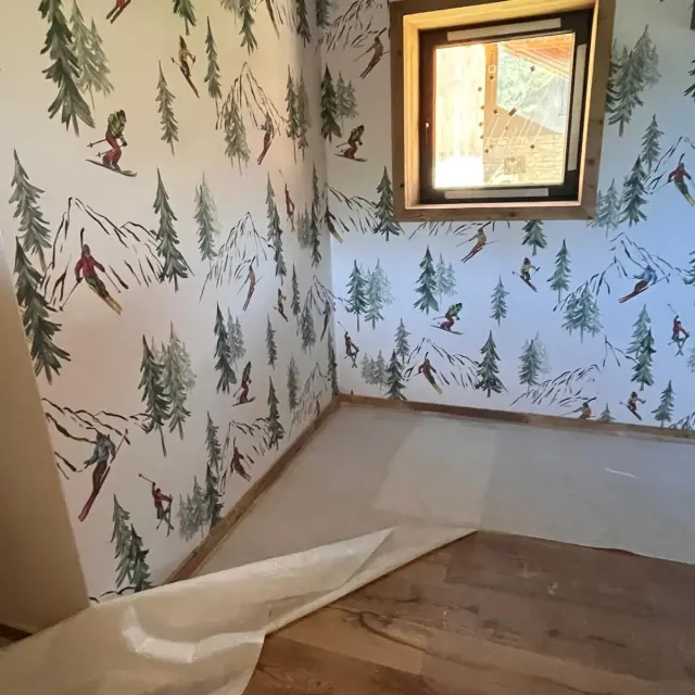 Papier peint thème ski — Agence Firma